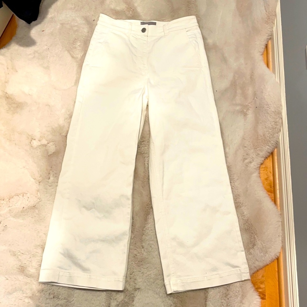 Everlane Wide Leg Crop